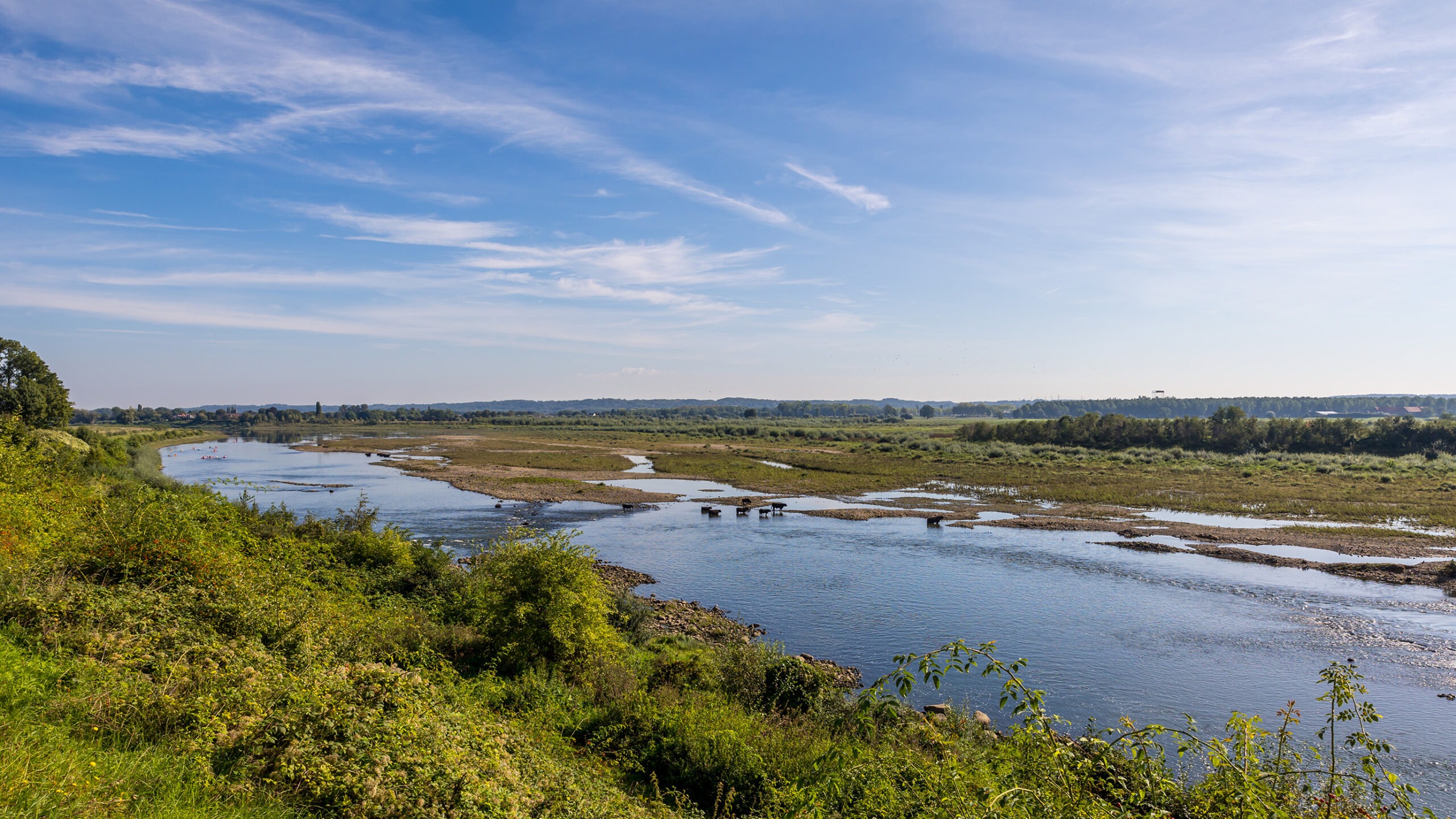 Zicht op de Maas in Lanaken@Dan Verbruggen