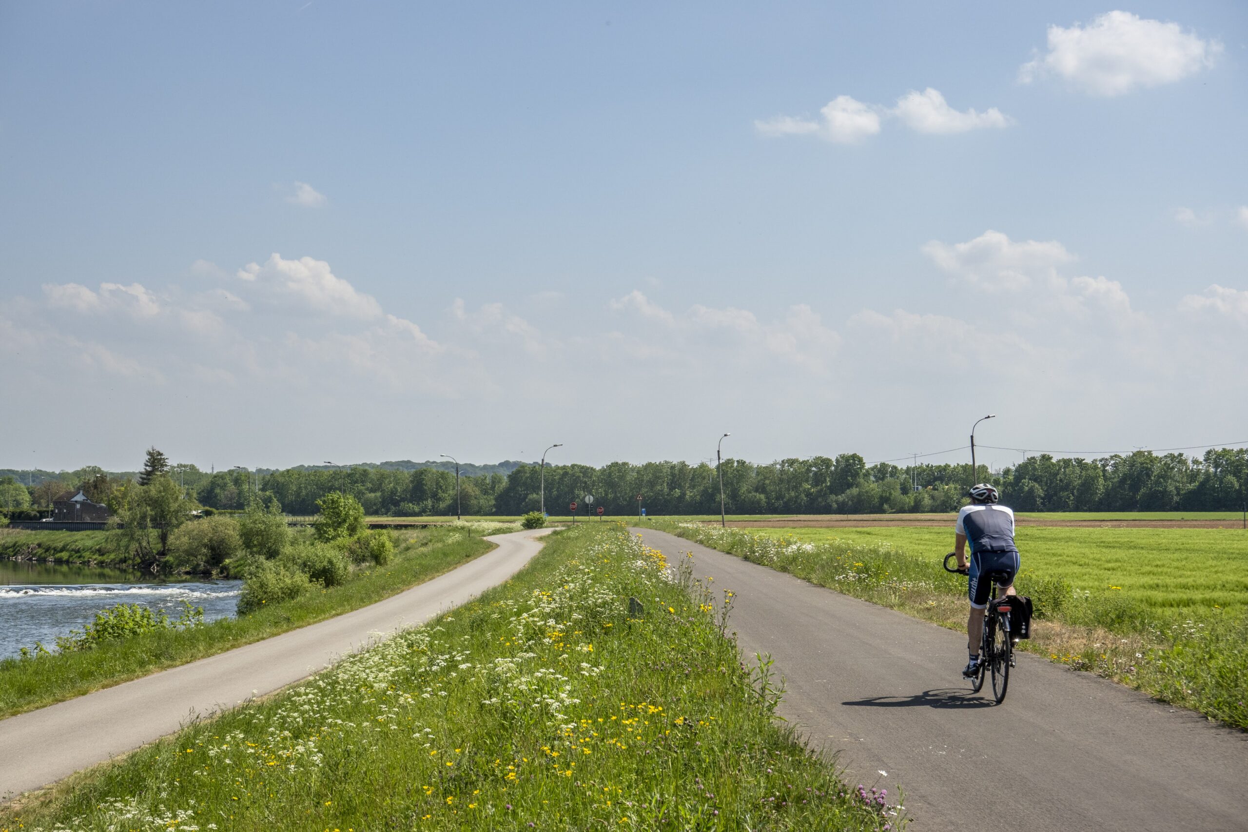 Fietser op winterdijk langs de Maas