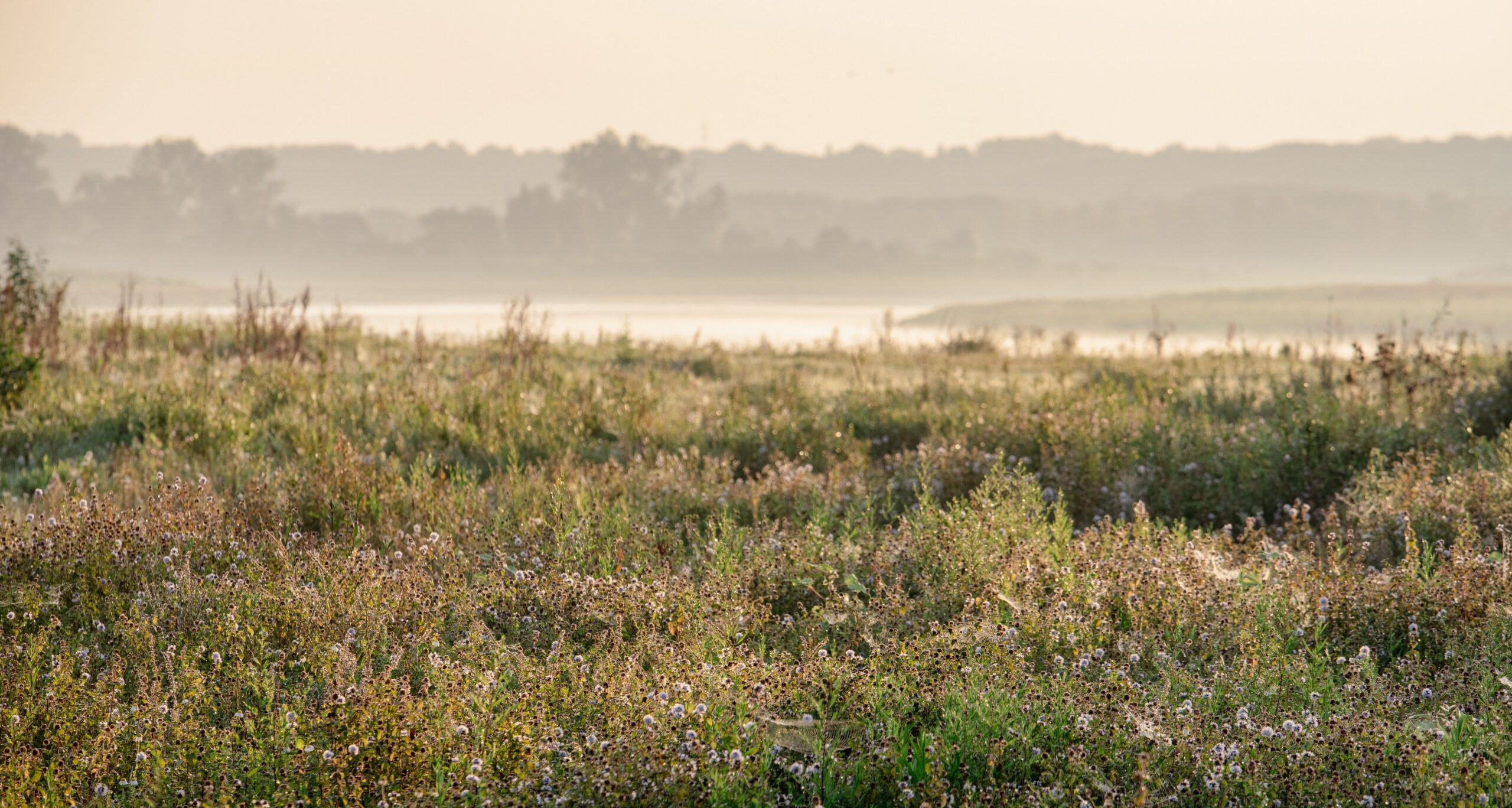 Zonsopgang met zicht op de Maasoevers © Ben Creemers