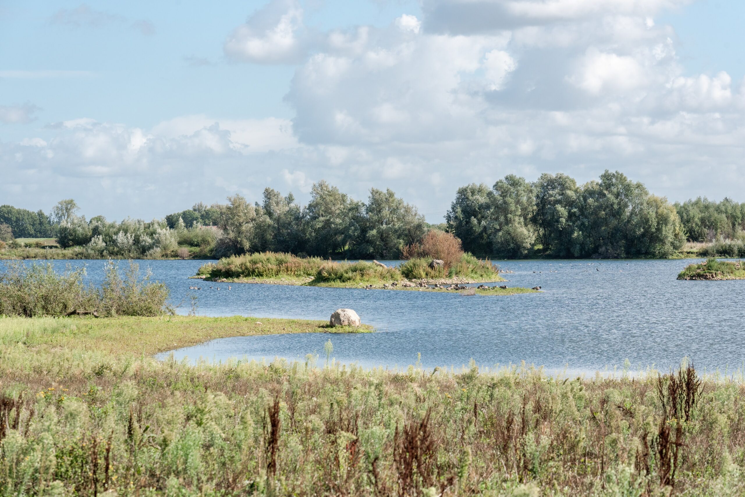 Bichterweerd in Elen Ben Creemers