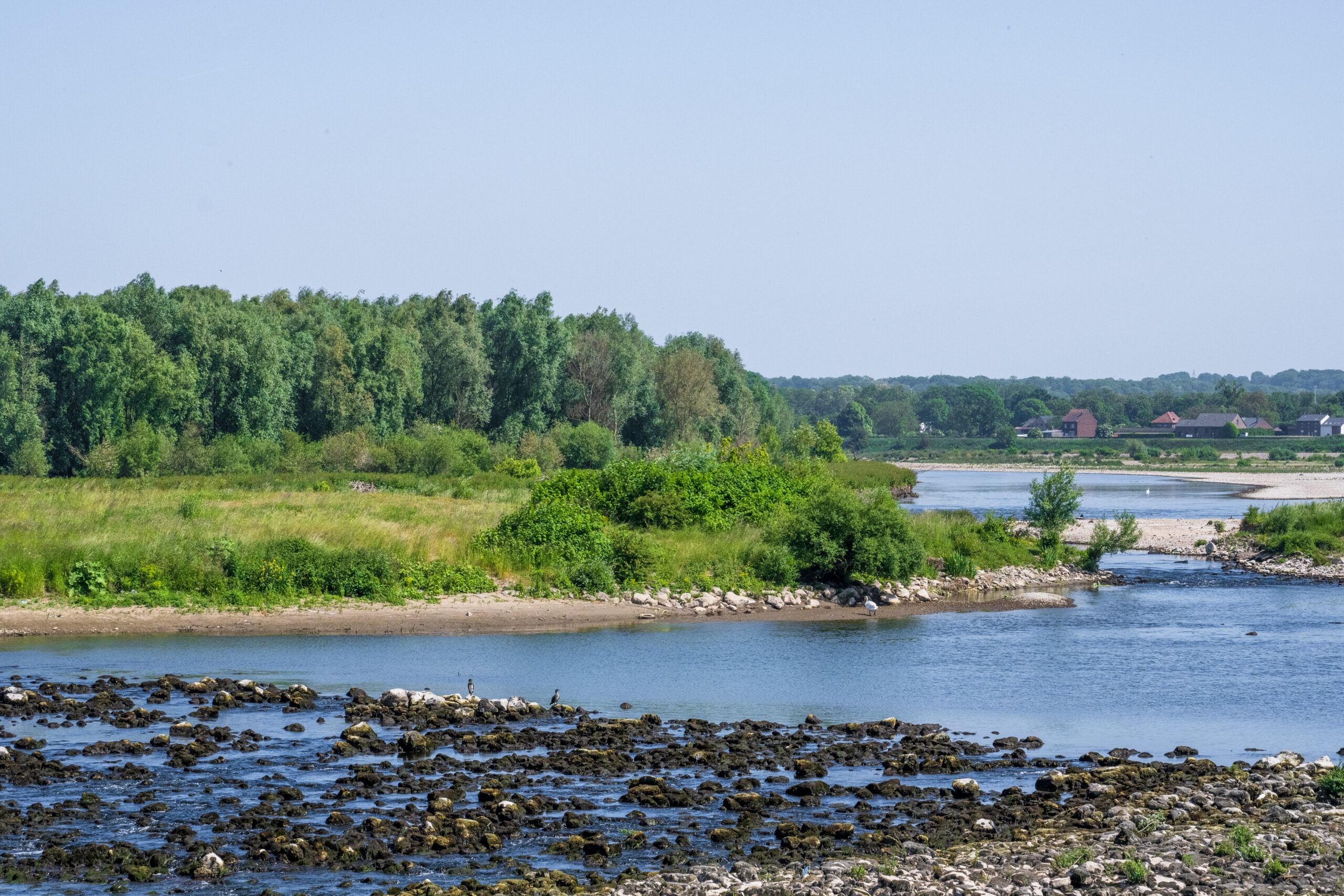 Zicht op de Maas in Leut Ben Creemers