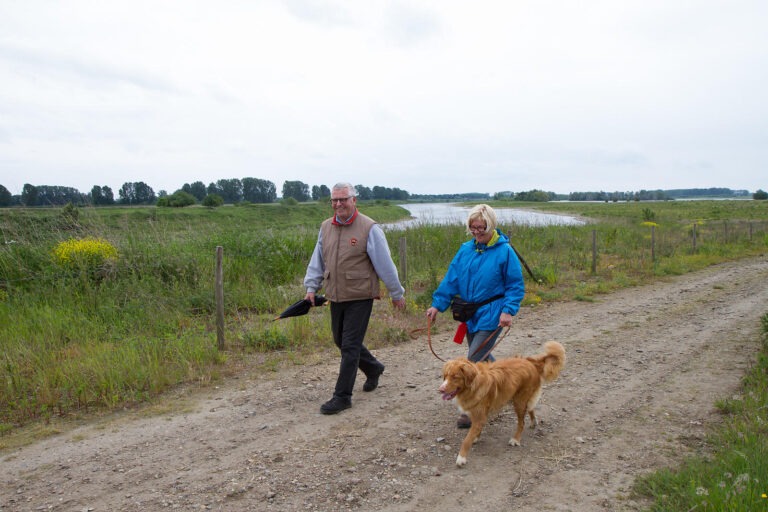 Wandelaars met hond in Elen RLKM