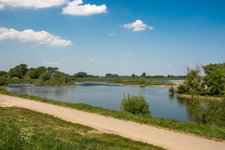 De Maas ter hoogte van Meers Ben Creemers