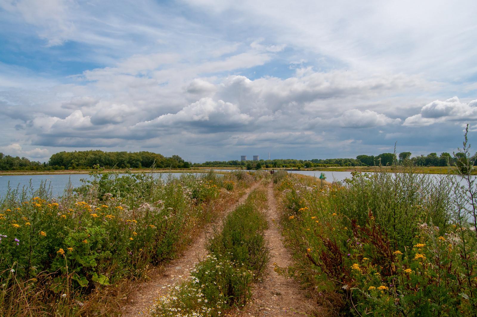 Wandelpad tussen waterplassen in het natuurgebied Koningssteen-Kollegreend Bennet Berx