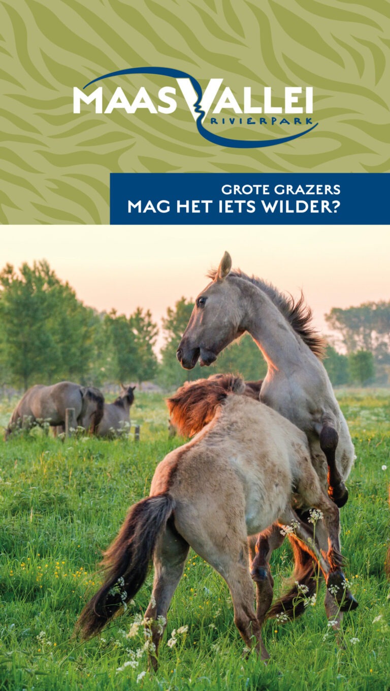 Cover Grote Grazers