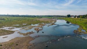 Luchtfoto met zicht op de Maas, Galloways in de Maas ©AusilioPhotography