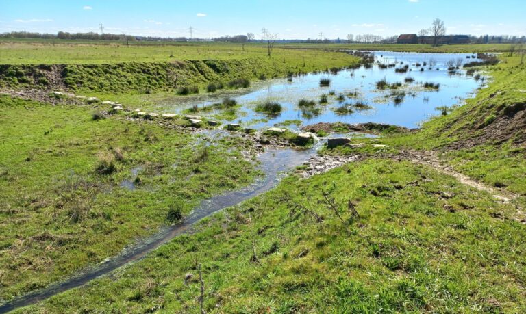 Kwelsloot tussen Hartelstein en Voulwames ©Fred Erkenbosch