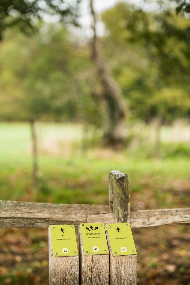 Bomenwandeling Leut © Rudi Van Beek