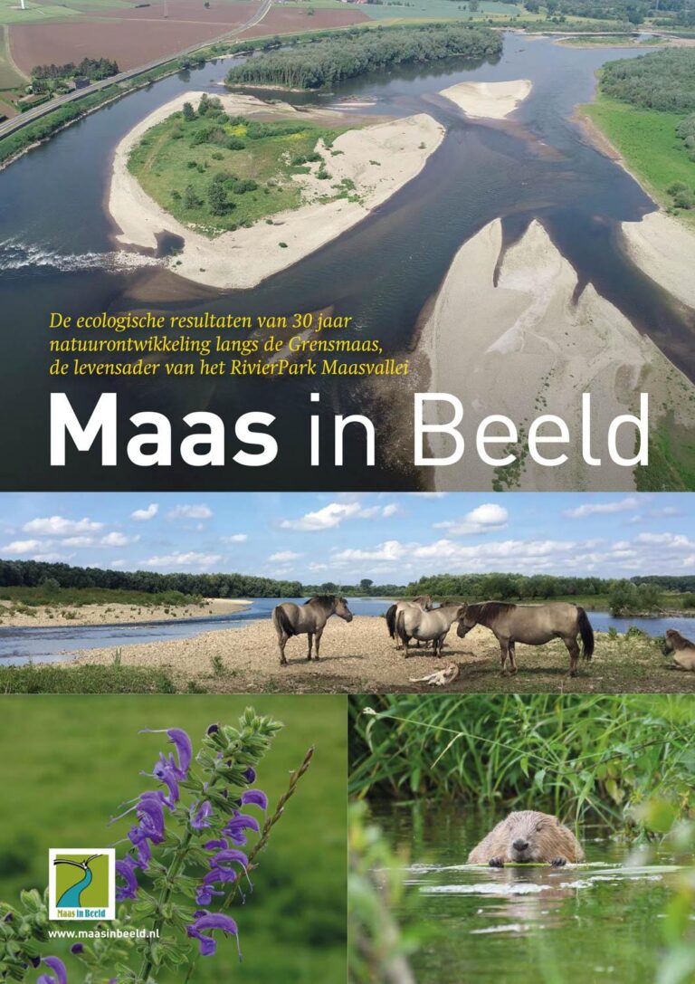 maas_in_beeld_brochure_08_voor_website-1