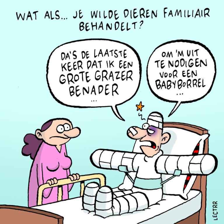 Cartoon familiair © Lectrr